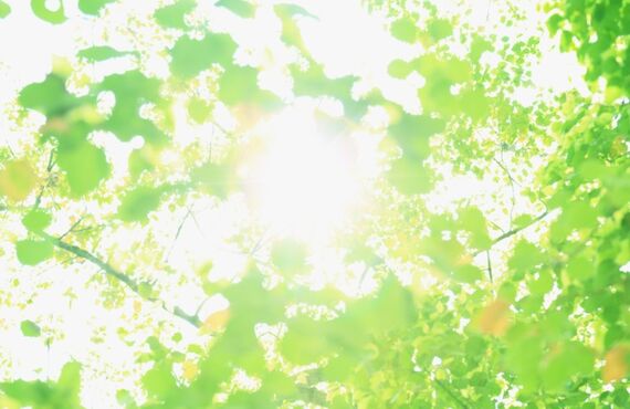 人の暮らしに寄り添うお仕事です